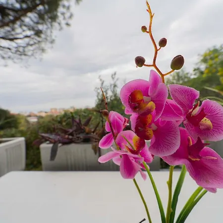 119 - Ondina Con Piscina, 800metri Dal Mare E Appartement Sestri Levante